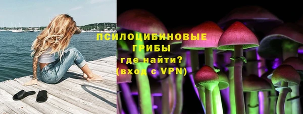 дурь Наволоки