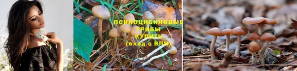 кокаин Навашино