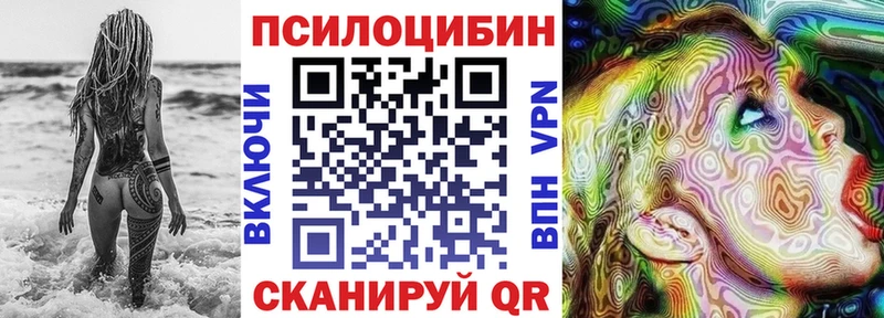 наркотики  Таганрог  мега зеркало  Галлюциногенные грибы Cubensis 